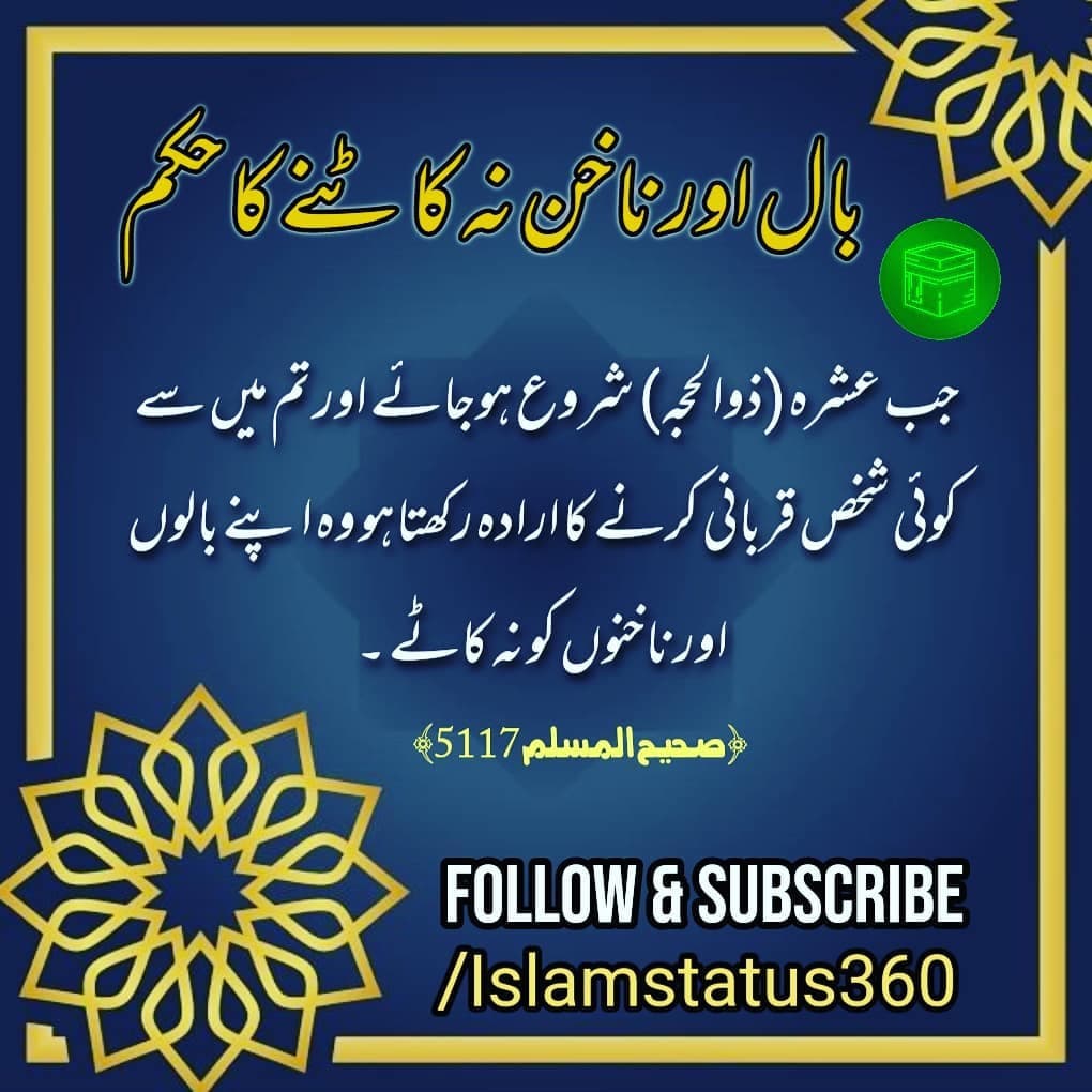 Follow & Subscribe @islamstatus360