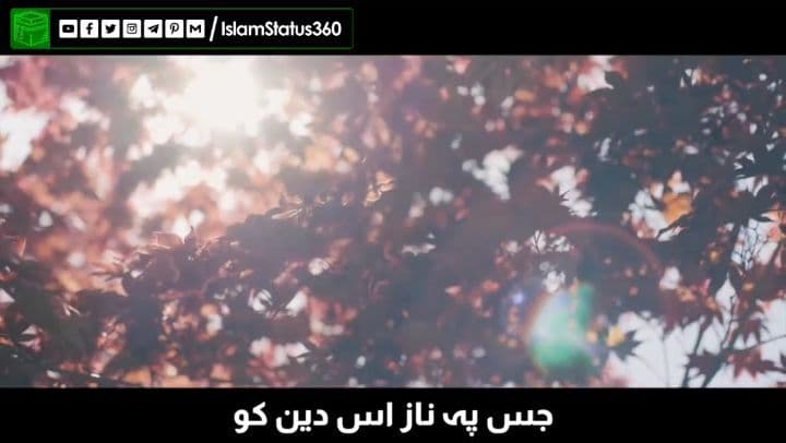 FOLLOW: @islamstatus360