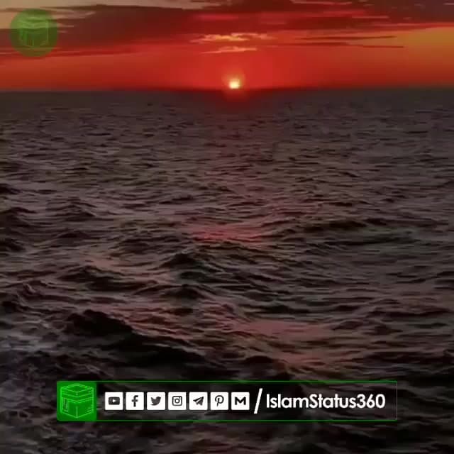 Please follow & support @islamstatus360