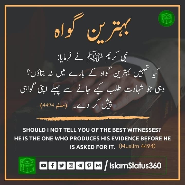 Should I not tell you of the best witnesses? He is the one who produces his evidence before he is asked for it.