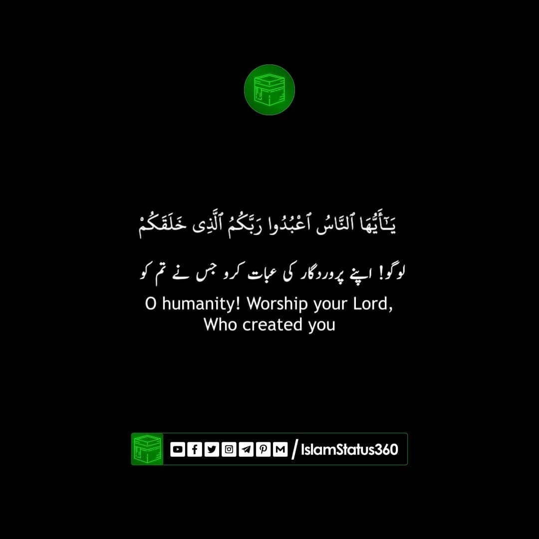 Video Quran Series - #4 - #Mishary Rashid Alafasy - Surah Al-Baqarah - @islamstatus360